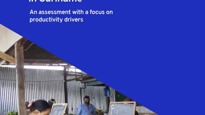 Cover for The Enabling Environment for Sustainable Enterprises in Suriname - An assessment with a focus on productivity drivers