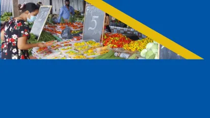 Cover for publication Enabling Environment for Sustainable Enterprises in Suriname - Action Plans