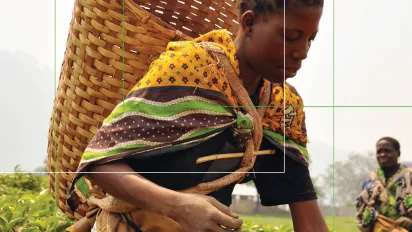 Decent Work on Plantations - Brochure