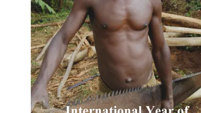 International Year of Forests 2011: What about the labour aspects of forestry?