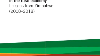 Promoting decent work in the rural economy Lessons from Zimbabwe (2008–2018) - Cover