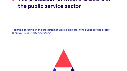 The protection of whistle-blowers in the public service sector - Cover