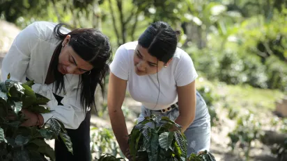 Mujer caficultora junto con su hija adolescente viendo una mata de café