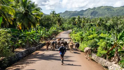 República Dominicana Sectores productivos