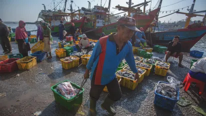Working in Batang fishing port, Indonesia