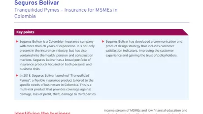 Cover for publication: "Social Finance Brief: Seguros Bolivar"