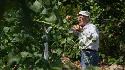 old person working on a farm