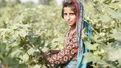 Young woman in a cotton field, Pakistan