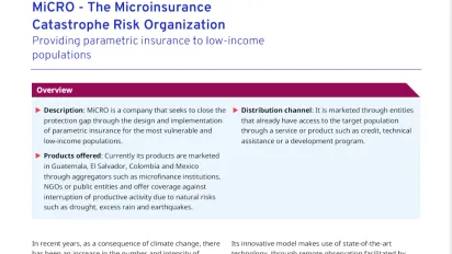 Cover for publication: "Social Finance Brief: MiCRO"