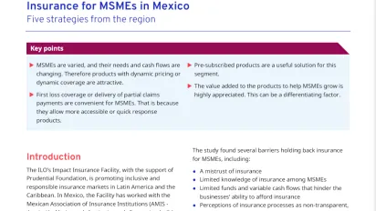Cover for publication: "Social Finance Brief: Insurance for MSMEs in Mexico"