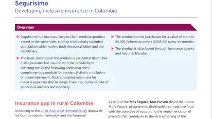 Cover for publication: "Social Finance Brief: Segurísimo"