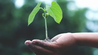 Green plant hero image
