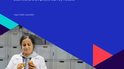Cover for Transition to Formality Programme (KIGEP) publication