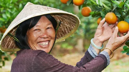 An Asian Women Harvesting Fruits
