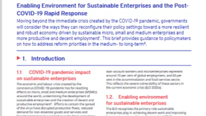  Cover image - Enabling environment for sustainable enterprises