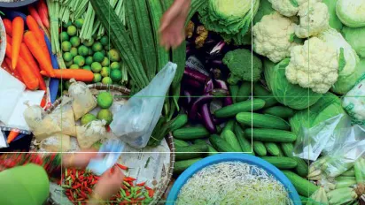 Decent Work for Food Security and Resilient Rural Livelihoods - Cover