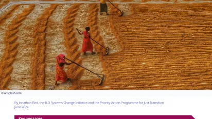 This image shows the first page of the ILO MSD and just transition brief