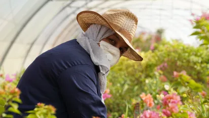A woman with work gear, hat and mouth mask, works in a greenhouse with flowers in Jordan