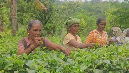 Safety + Health for All Workers in South Asia
