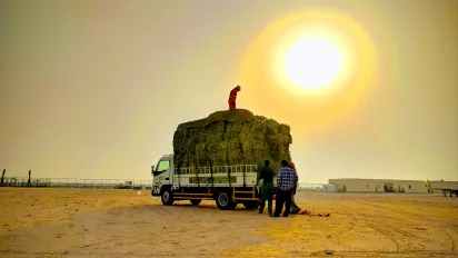Workers stand next to a truck under the sun