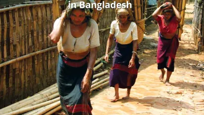Cover of the report on skills assessment and employability of the indigenous and tribal peoples of Bangladesh