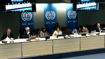 Meeting of experts in February 2024 panel