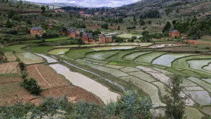 Green fields in a rural setting