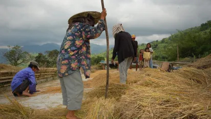 A group of T’bolis perform manual threshing of rice grains using only their feet.