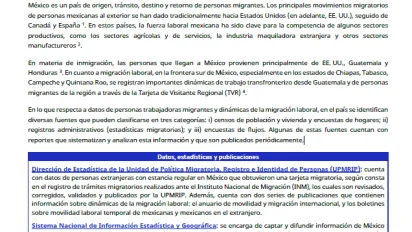 ficha Migración Laboral México
