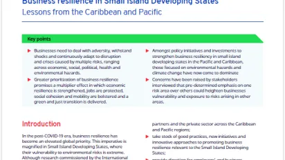 Brief Business resilience in Small Island Developing States