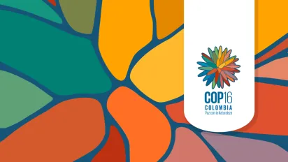 Logo oficial de la COP16  inspirada en la flor de Inírida, especie endémica de Colombia. Con 36 pétalos de colores, simboliza 13 ecorregiones colombianas y 23 metas de biodiversidad de la ONU