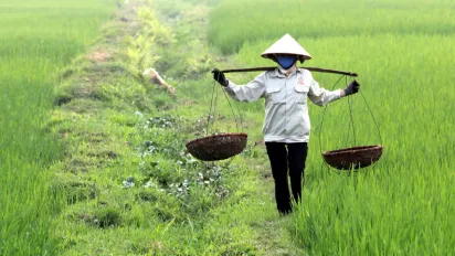 woman walking along a rice paddy carrying baskets