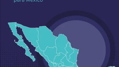 perfil nacional sst mex