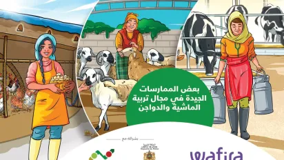 WAFIRA Bonnes pratiques dans le secteur de l’élevage 