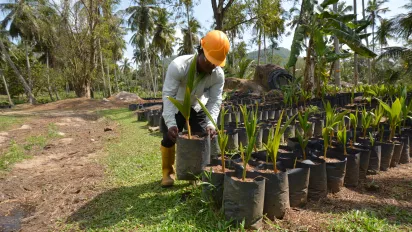 worker planting coconut wearing PPE