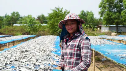 Young Cambodian migrant woman sorting fish on stalls in Thailand