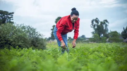 Woman farmer working in a vegetable farm
