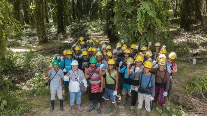 large group of workers wearing PPE in Indonesian palm oil sector