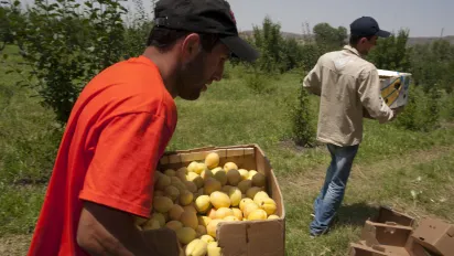 Two men holding boxes of fruits