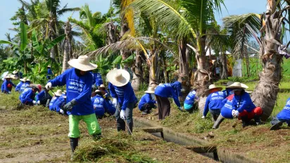 Workers wearing protective gear clearing brush