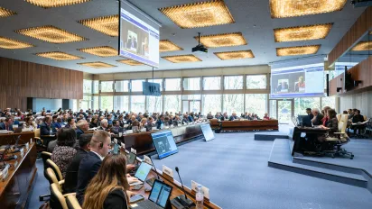 Fifth Meeting of the Special Tripartite Committee of the Maritime Labour Convention (April 2025)