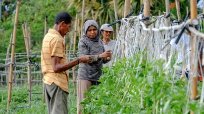Three people standing attending plants