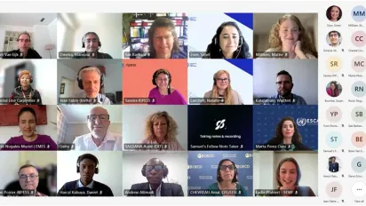 Participants at the UNTFSSE meeting
