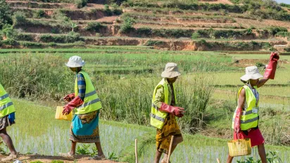 Women wearing protective gear cleaning an irrigation ditch