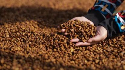 Multi-stakeholder dialogue strengthens joint commitments to promote decent work in the coffee sector.
