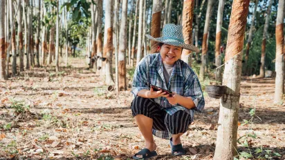 A female migrant worker rests beside rubber trees.