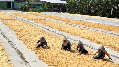 Seaweed drying process