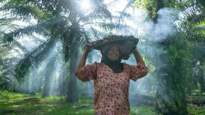 A woman works on an oil palm plantation in Malaysia.
