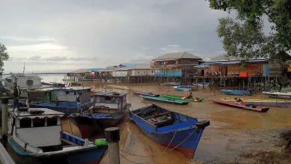 Fishing boats