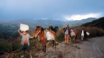a kid and two adults with their donkeys carrying heavy sacks